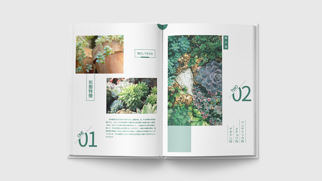 提升畫冊印刷光澤度的方法 提升畫冊印刷光澤度的方法